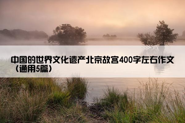 中国的世界文化遗产北京故宫400字左右作文（通用5篇）