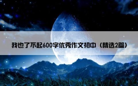 我也了不起600字优秀作文初中（精选2篇）