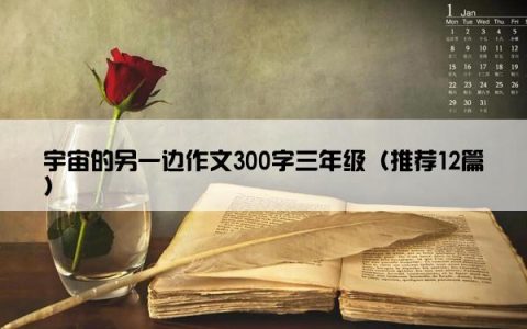 宇宙的另一边作文300字三年级（推荐12篇）