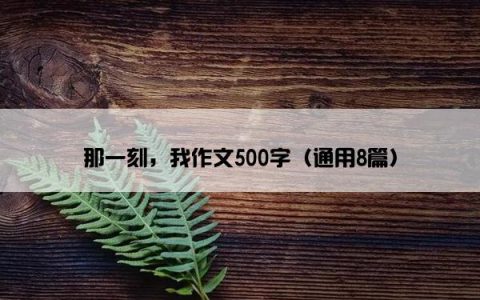那一刻，我作文500字（通用8篇）