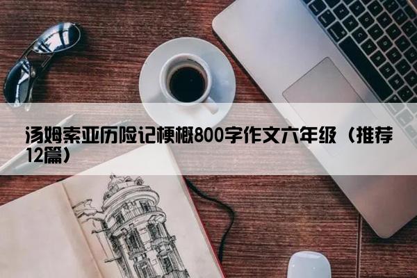 汤姆索亚历险记梗概800字作文六年级（推荐12篇）