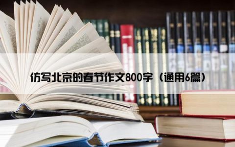 仿写北京的春节作文800字（通用6篇）