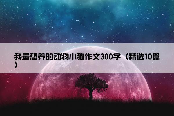 我最想养的动物小狗作文300字（精选10篇）