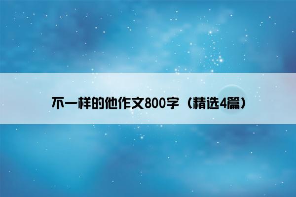 不一样的他作文800字（精选4篇）