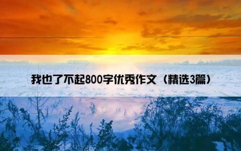 我也了不起800字优秀作文（精选3篇）