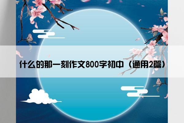 什么的那一刻作文800字初中（通用2篇）