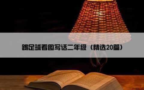 踢足球看图写话二年级（精选20篇）