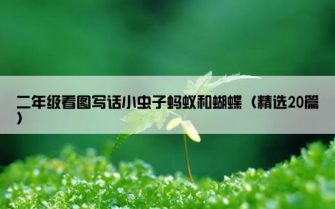二年级看图写话小虫子蚂蚁和蝴蝶（精选20篇）