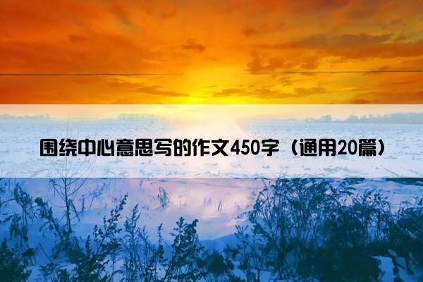 围绕中心意思写的作文450字（通用20篇）