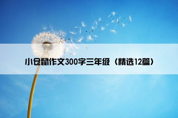 小仓鼠作文300字三年级（精选12篇）