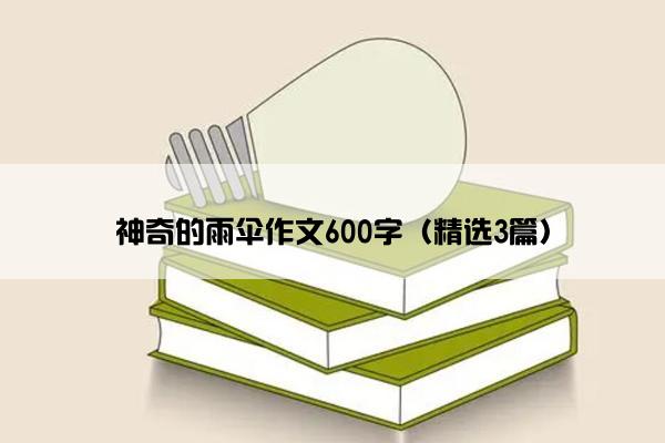 神奇的雨伞作文600字（精选3篇）