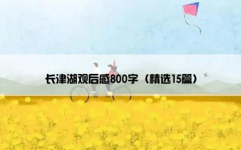 长津湖观后感800字（精选15篇）