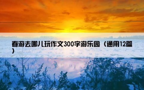 春游去哪儿玩作文300字游乐园（通用12篇）