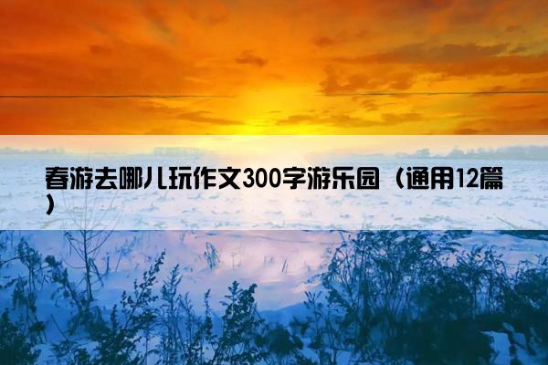 春游去哪儿玩作文300字游乐园（通用12篇）