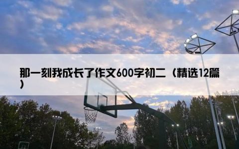 那一刻我成长了作文600字初二（精选12篇）