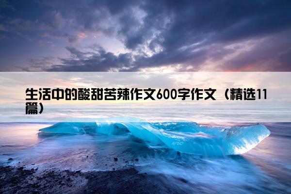 生活中的酸甜苦辣作文600字作文（精选11篇）