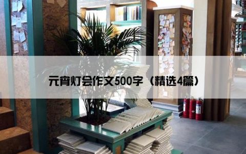 元宵灯会作文500字（精选4篇）