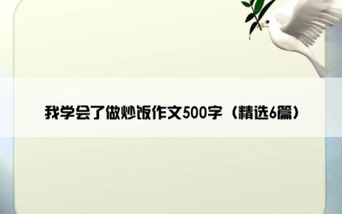 我学会了做炒饭作文500字（精选6篇）