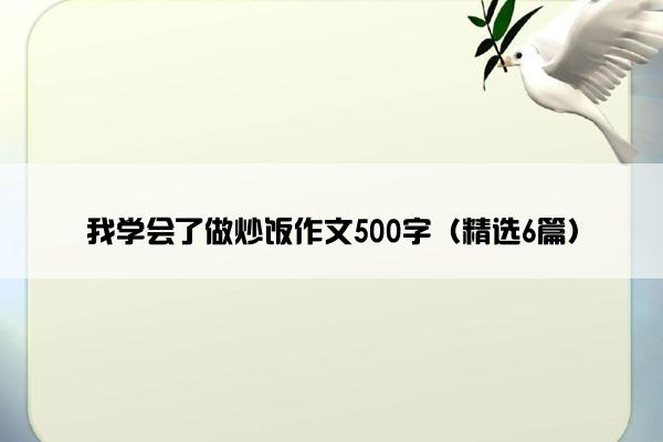 我学会了做炒饭作文500字（精选6篇）