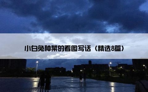 小白兔种菜的看图写话（精选8篇）