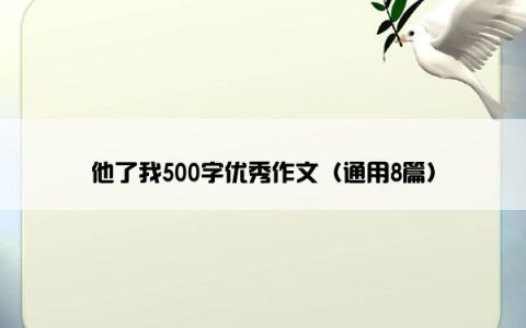 他了我500字优秀作文（通用8篇）