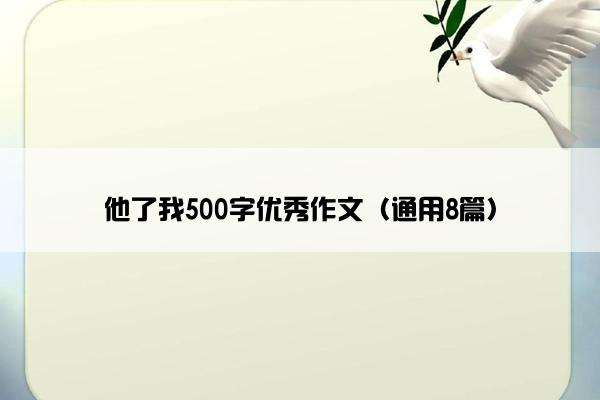 他了我500字优秀作文（通用8篇）