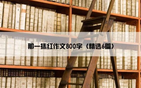 那一抹红作文800字（精选6篇）