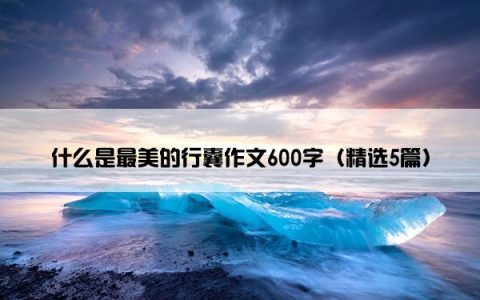 什么是最美的行囊作文600字（精选5篇）