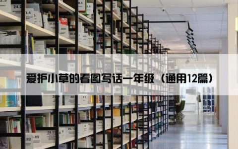 爱护小草的看图写话一年级（通用12篇）