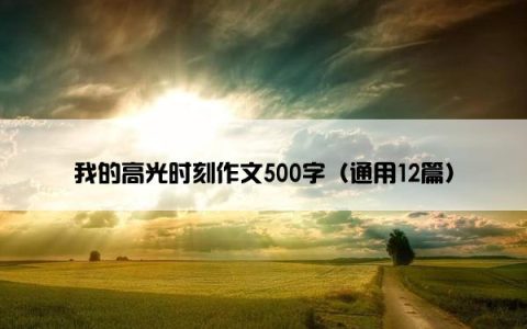 我的高光时刻作文500字（通用12篇）