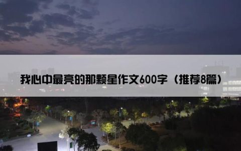 我心中最亮的那颗星作文600字（推荐8篇）