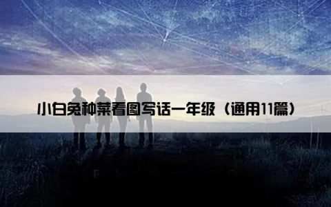 小白兔种菜看图写话一年级（通用11篇）