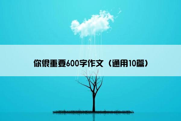 你很重要600字作文（通用10篇）