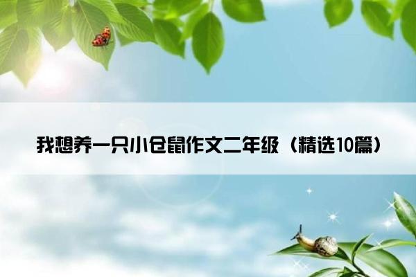 我想养一只小仓鼠作文二年级（精选10篇）