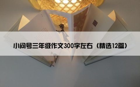 小问号三年级作文300字左右（精选12篇）