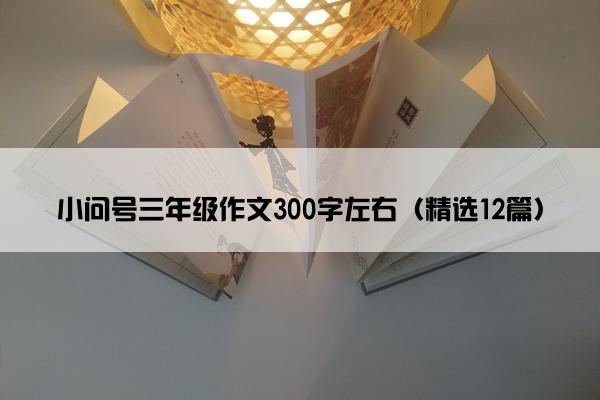 小问号三年级作文300字左右（精选12篇）