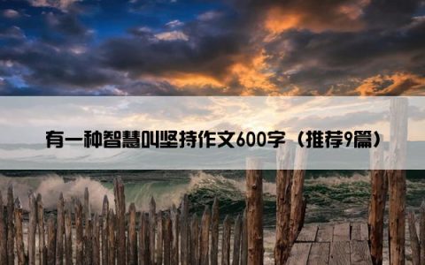 有一种智慧叫坚持作文600字（推荐9篇）