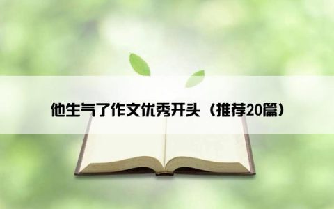 他生气了作文优秀开头（推荐20篇）