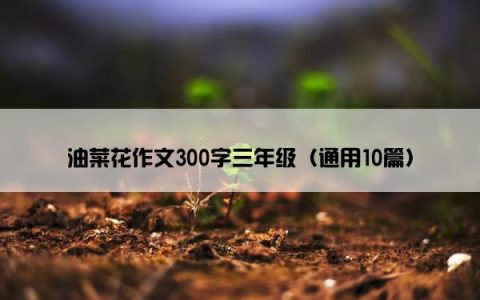 油菜花作文300字三年级（通用10篇）