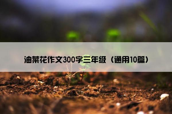 油菜花作文300字三年级（通用10篇）