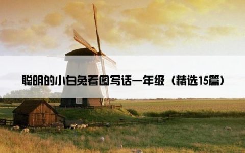 聪明的小白兔看图写话一年级（精选15篇）