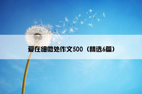 爱在细微处作文500（精选6篇）