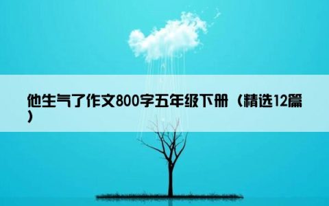 他生气了作文800字五年级下册（精选12篇）