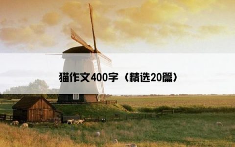 猫作文400字（精选20篇）