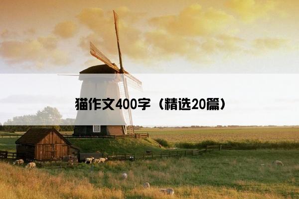 猫作文400字（精选20篇）