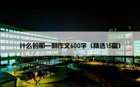 什么的那一刻作文600字（精选15篇）