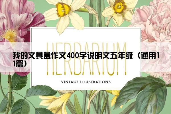 我的文具盒作文400字说明文五年级（通用11篇）