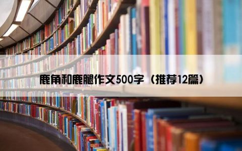 鹿角和鹿腿作文500字（推荐12篇）