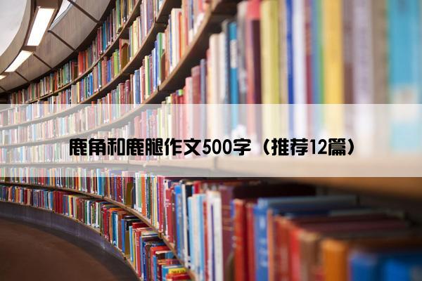 鹿角和鹿腿作文500字（推荐12篇）