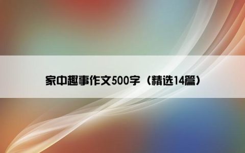 家中趣事作文500字（精选14篇）